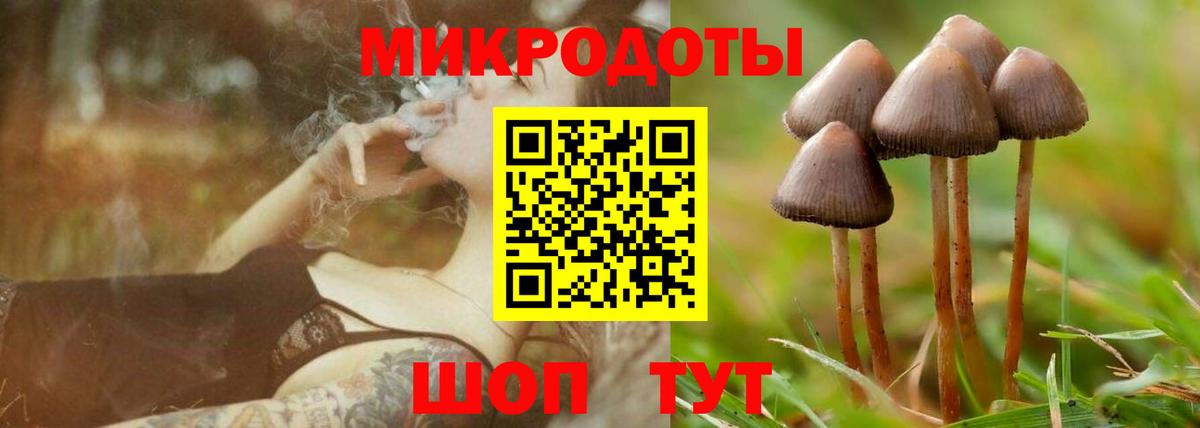 Псилоцибиновые грибы ЛСД Будённовск