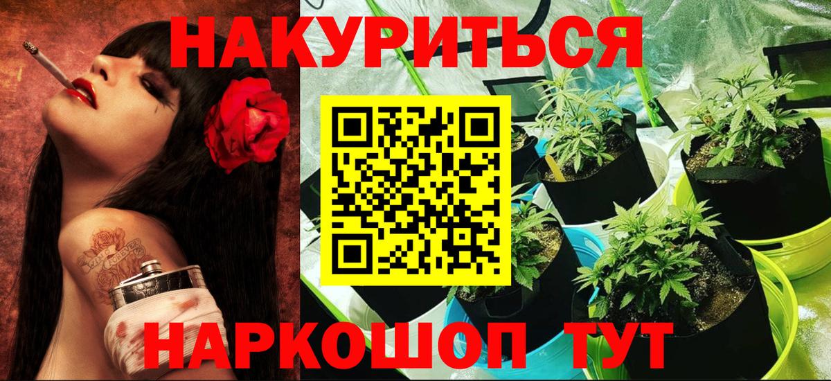 Каннабис сатива  Шишки марихуана марихуана  Будённовск  Вход с VPN 